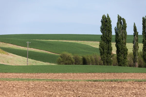 Zemědělské pozemky — Stock fotografie