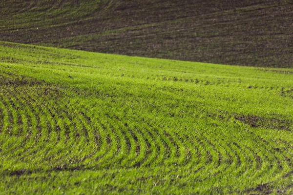 Farm Land — Stock Photo, Image