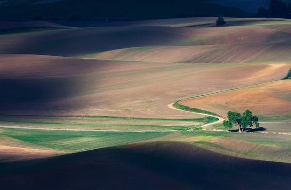 Gördülő hill és a mezőgazdasági földterületek — Stock Fotó