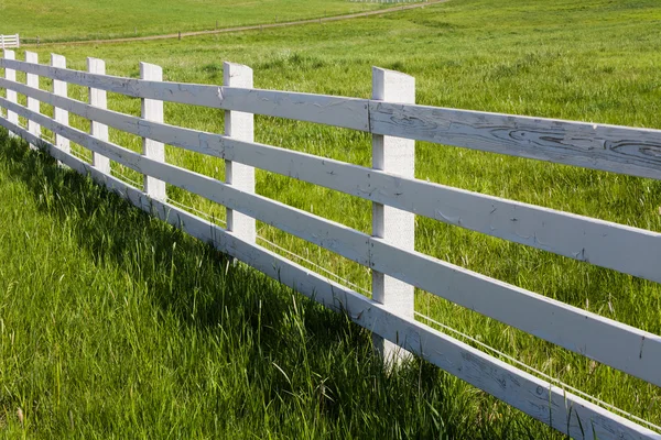 Bílý plot — Stock fotografie