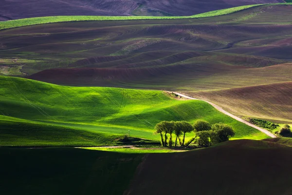 Glooiende heuvel en landbouwgrond — Stockfoto