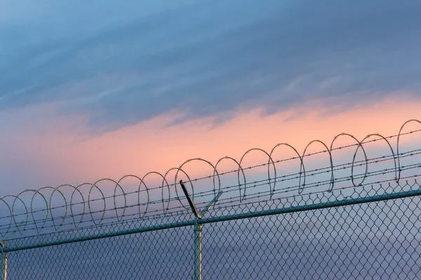 Barbed wire fence — Stock Photo, Image