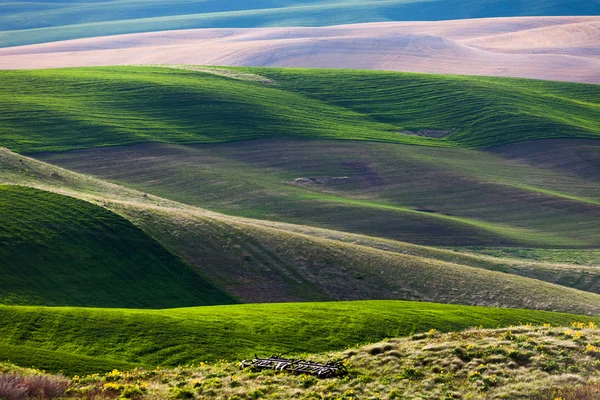 Glooiende heuvel en landbouwgrond — Stockfoto