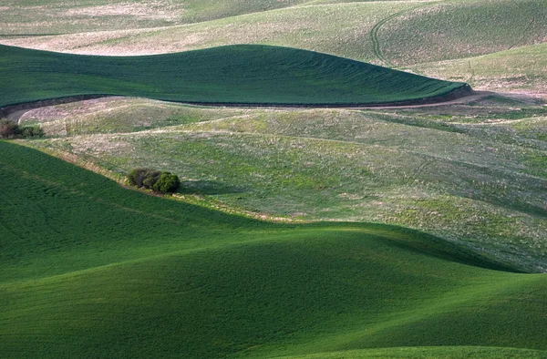 Toczenia wzgórza i gruntów rolnych — Zdjęcie stockowe