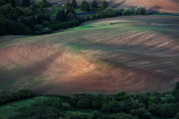 Gördülő hill és a mezőgazdasági földterületek — Stock Fotó