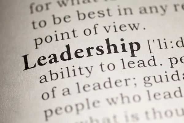 Leadership — Stock Photo, Image