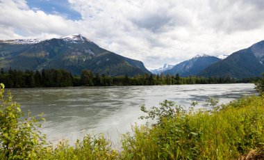 skeena Nehri