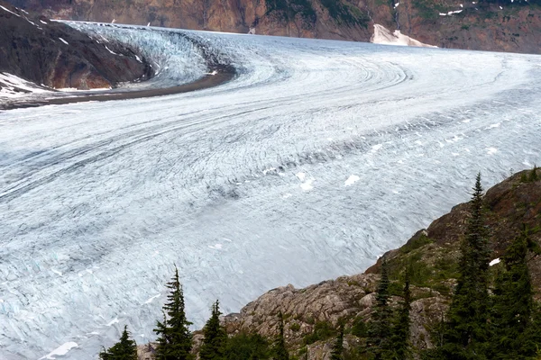 Glaciar del salmón — Foto de Stock