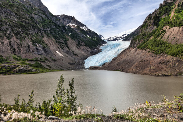 Bear Glacier