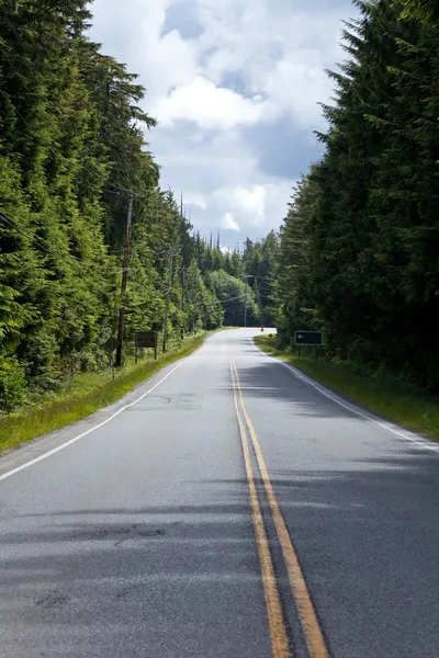 Forest road — Stockfoto