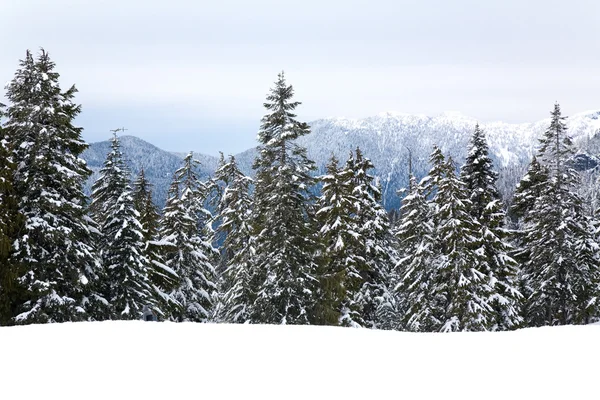 Снежная гора — стоковое фото