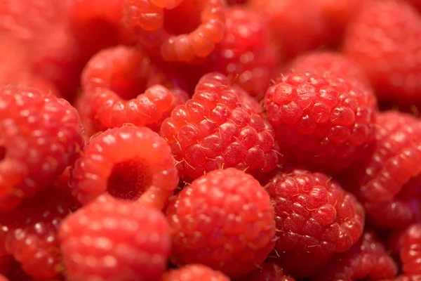 Fruta de bagas — Fotografia de Stock