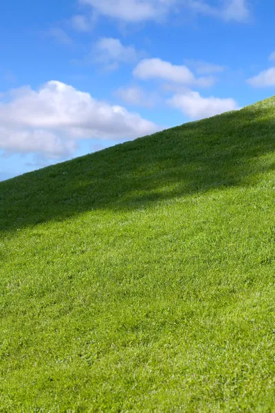 Groen veld en blauwe lucht — Stockfoto