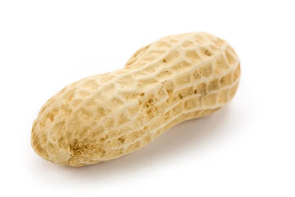 Peanut — Stock Photo, Image