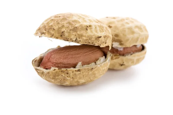 Peanut — Stock Photo, Image