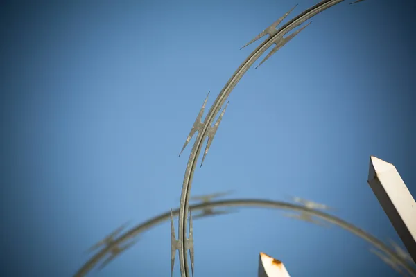 Barbed wire-netting — Stockfoto