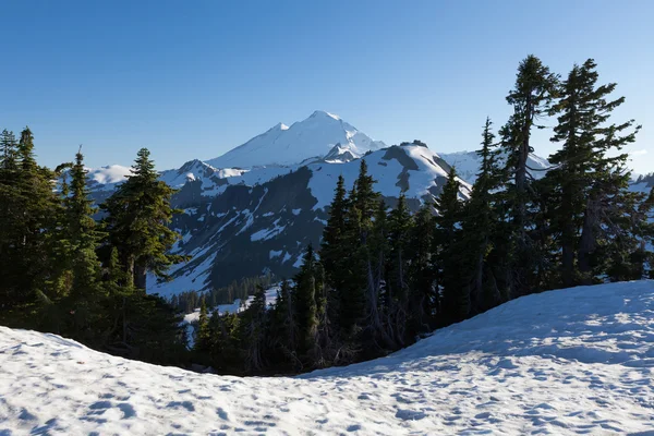 MT Baker — Stock fotografie