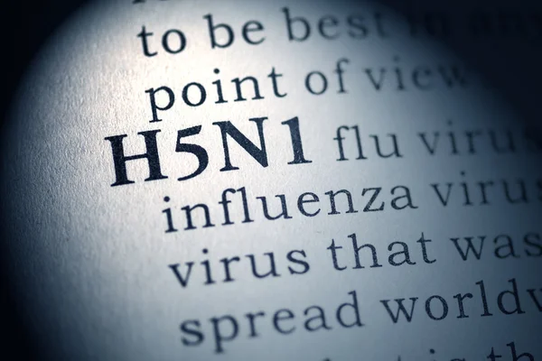 Influenza H5N1 — Foto Stock