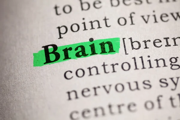 Brain — Stock Photo, Image