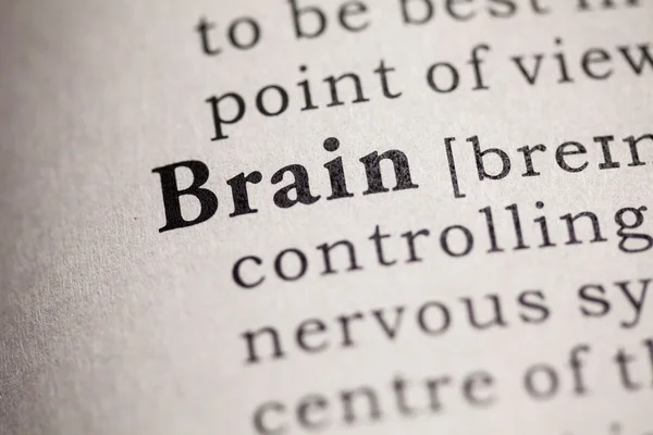 Brain — Stock Photo, Image