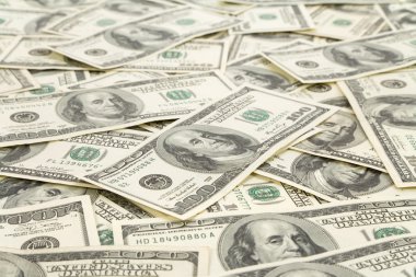 Amerikan doları.