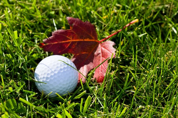 Golfball und Gras — Stockfoto