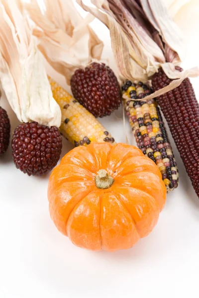 Pumpkin — Stock Photo, Image