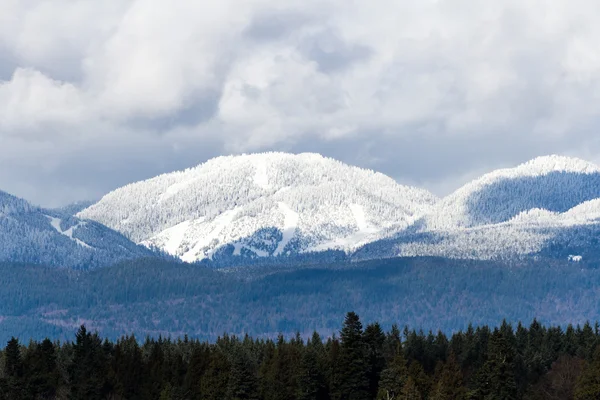 Montanha de neve e árvore — Fotografia de Stock