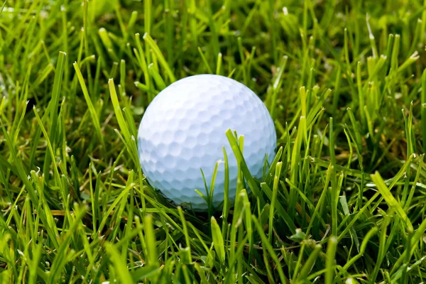 Golfboll och gräs — Stockfoto