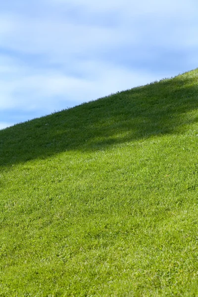 Campo verde y cielo azul — Foto de Stock