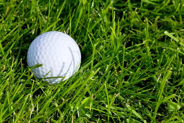 Bola de golfe e grama — Fotografia de Stock