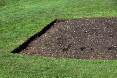 yeşil çimen ve toprak