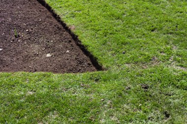 yeşil çimen ve toprak