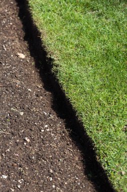 yeşil çimen ve toprak