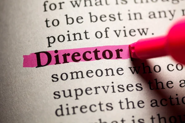 Director — Foto de Stock