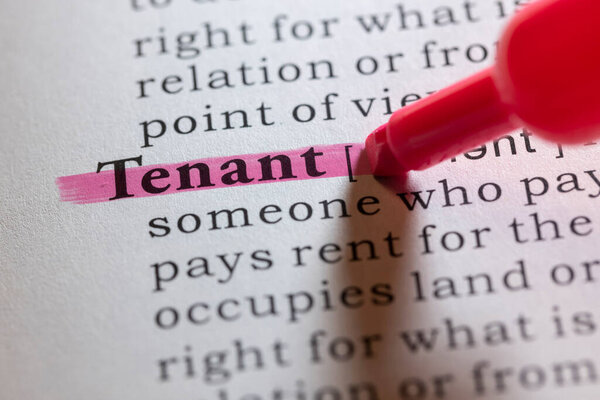 Слово Fake Dictionary, словарное определение арендатора