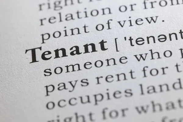 Fake Dictionary Word Dictionary Definition Tenant Tenants — Stock Photo, Image