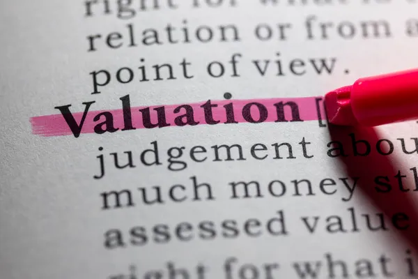 Fake Dictionary Word Dictionary Definition Valuation — Stock Photo, Image
