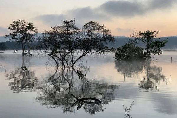 Early Morning Mist Floating Lake Steam Lake Slowly Floating Dawn — Stock Photo, Image