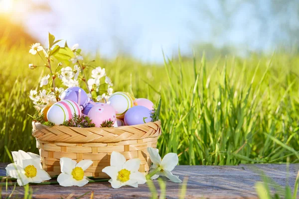 Kosz Jajkami Wielkanocnymi Kwiatami Tle Zielonej Trawy — Zdjęcie stockowe