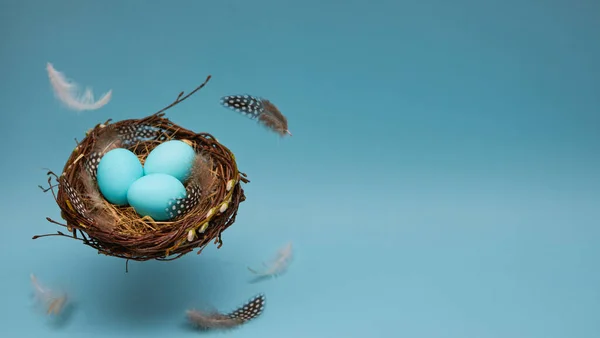 Banner Easter Eggs Feathers Nest Blue Background Nest Feathers Floats Stock Photo