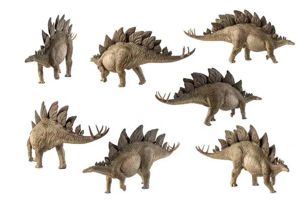 Динозавр Стегозавр Белом Фоне — стоковое фото