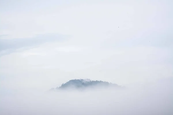 Skogslandskap Dimman — Stockfoto