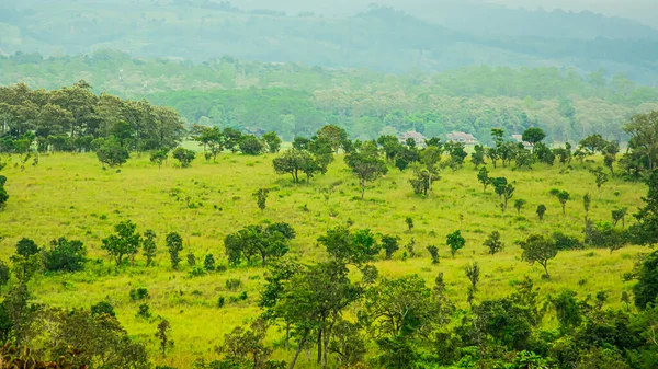 Beau Paysage Forestier Dans Parc National Thung Salaeng Luang Dans — Photo