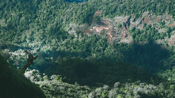 Paisaje Montaña Parque Nacional Doi Inthanon Tailandia — Foto de Stock