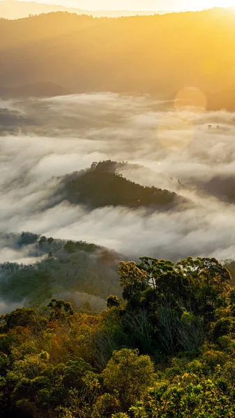 Betong Yala Tailandia 2020 Talay Mok Aiyoeweng Skywalk Mirador Niebla — Foto de Stock