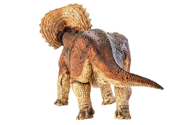 Triceratops Dinosaurus Witte Achtergrond — Stockfoto