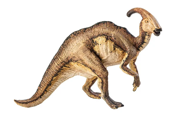 Parasaurolof Dinozaur Białym Tle — Zdjęcie stockowe