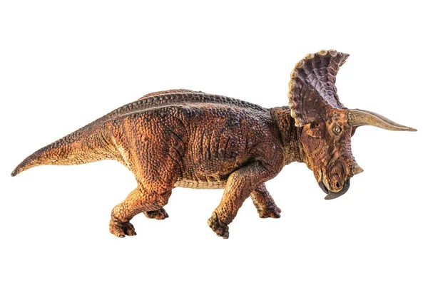 Triceratops Dinoszaurusz Fehér Alapon — Stock Fotó