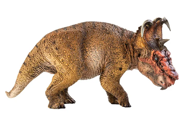 Pachyrhinosaurus Dinosaurio Sobre Fondo Blanco — Foto de Stock